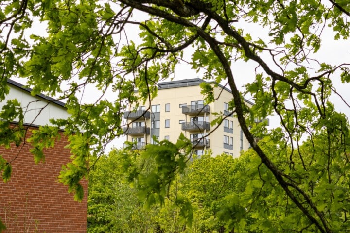 Stenungsundshems hyresbostäder i Stenungsund bakom ett träd